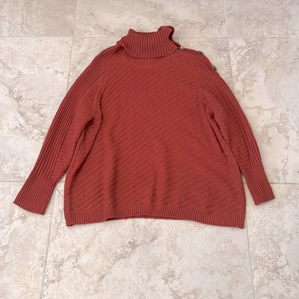 Free- Dressbarn turtleneck sweater